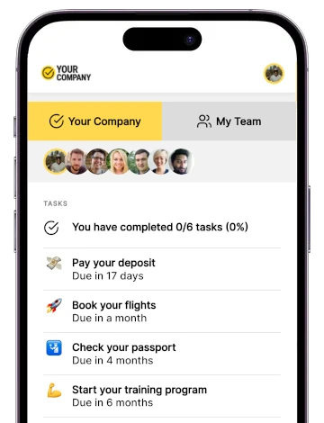 Preview of task screen